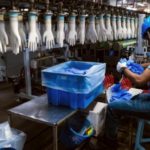 nitrile gloves production lines