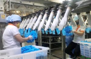 vglove factory